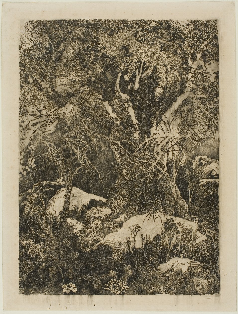 Fontainebleau-skoven af Rodolphe Bresdin