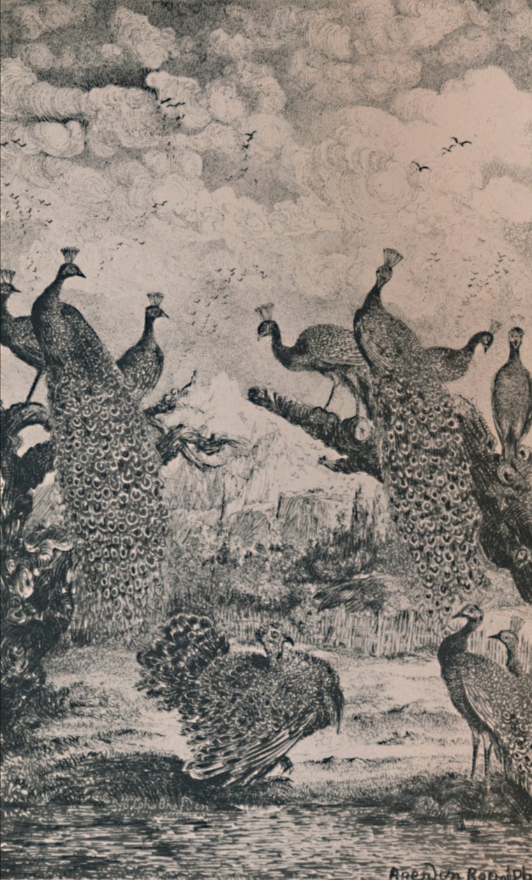 Påfuglene, 1869, 1946 af Rodolphe Bresdin