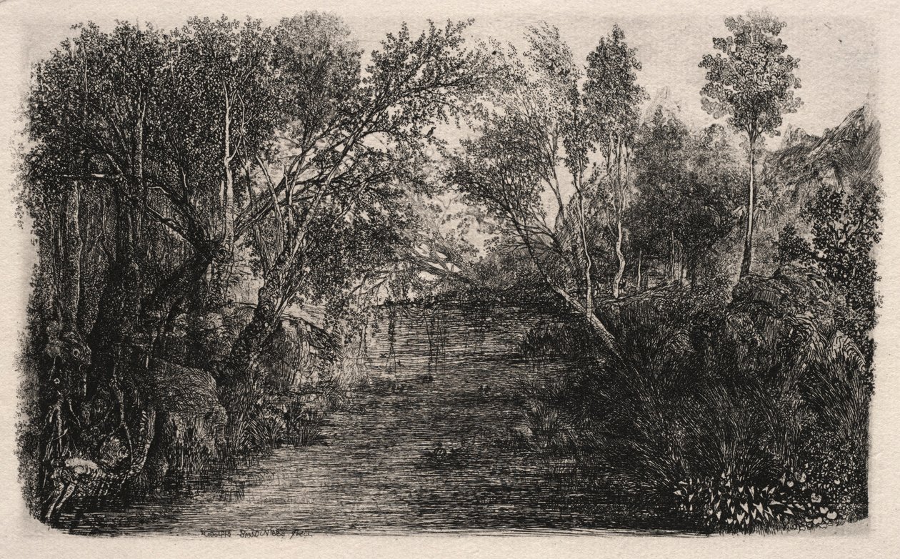 Strømmen, 1880. af Rodolphe Bresdin