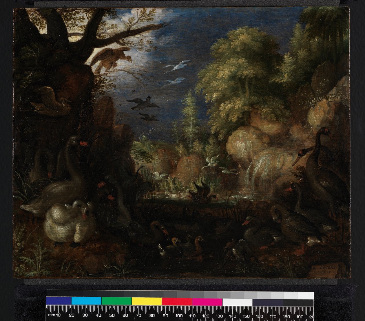 Fuglenes skabelse, 1619 af Roelandt Jacobsz. Savery