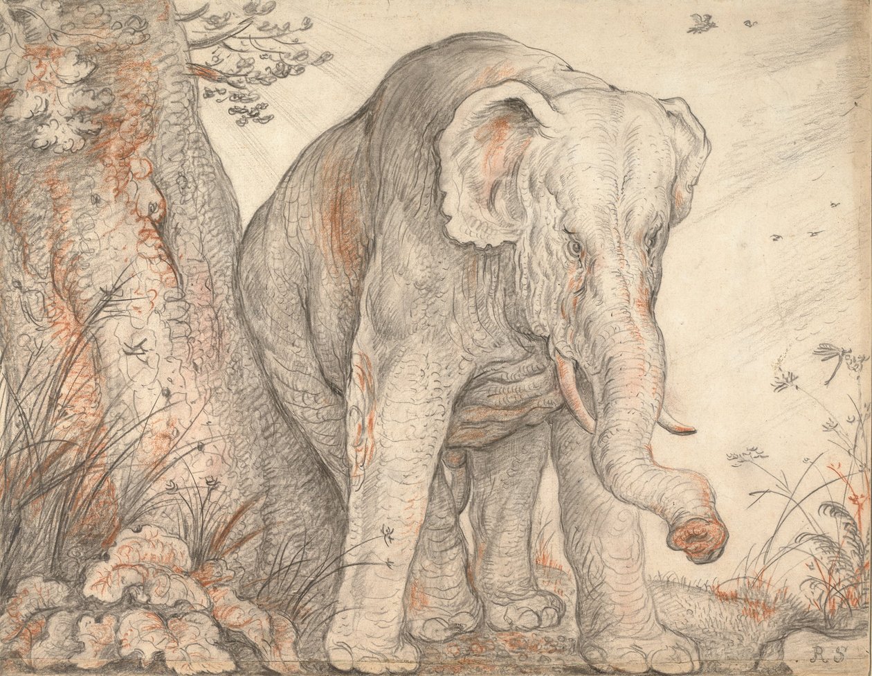 En elefant, der gnider sig mod et træ, ca. 1608-1612 af Roelant Saverij
