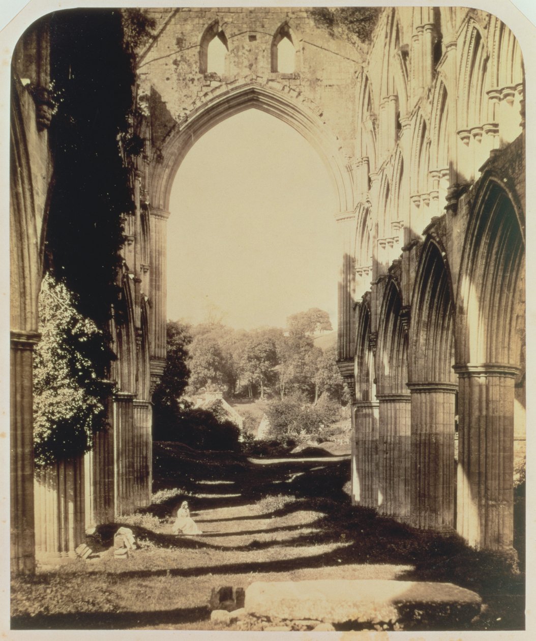 Rievaulx Abbey, North Yorkshire, 1854 (sepiafoto) af Roger Fenton