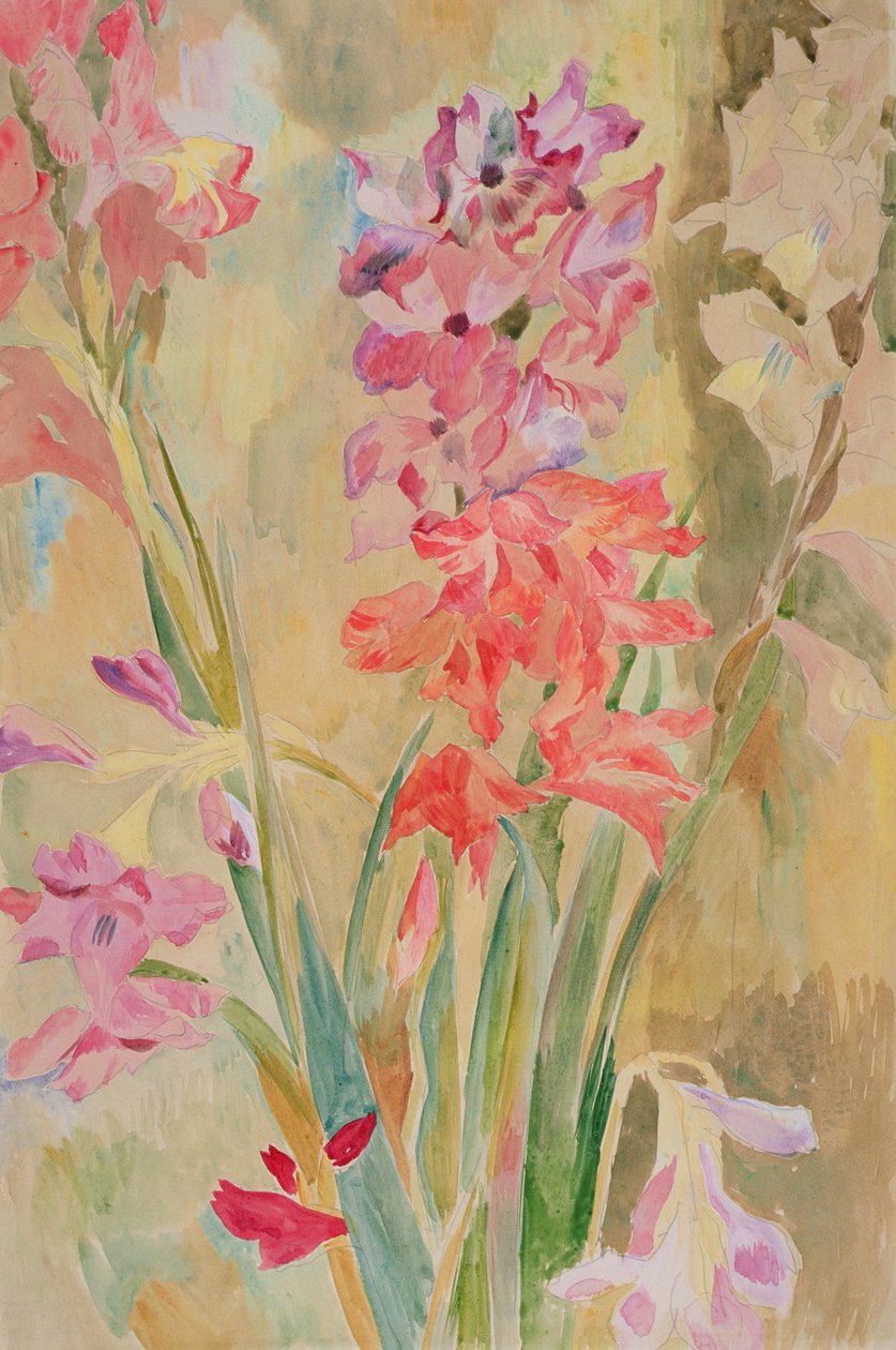 Gladioli, ca. 1915 (wc på papir) af Roger Eliot Fry