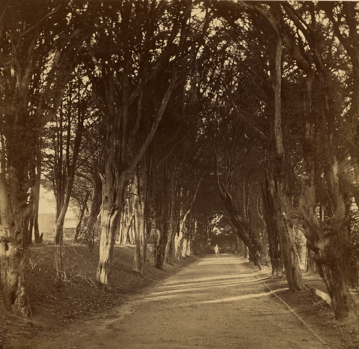 Den mørke gåtur; Stonyhurst af Roger Fenton
