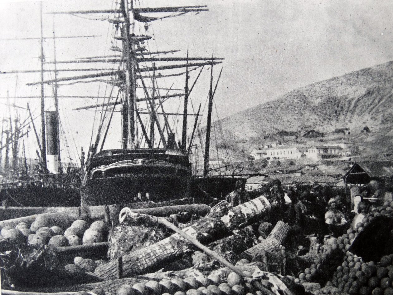 Ordnance Wharf, Balaclava af Roger Fenton
