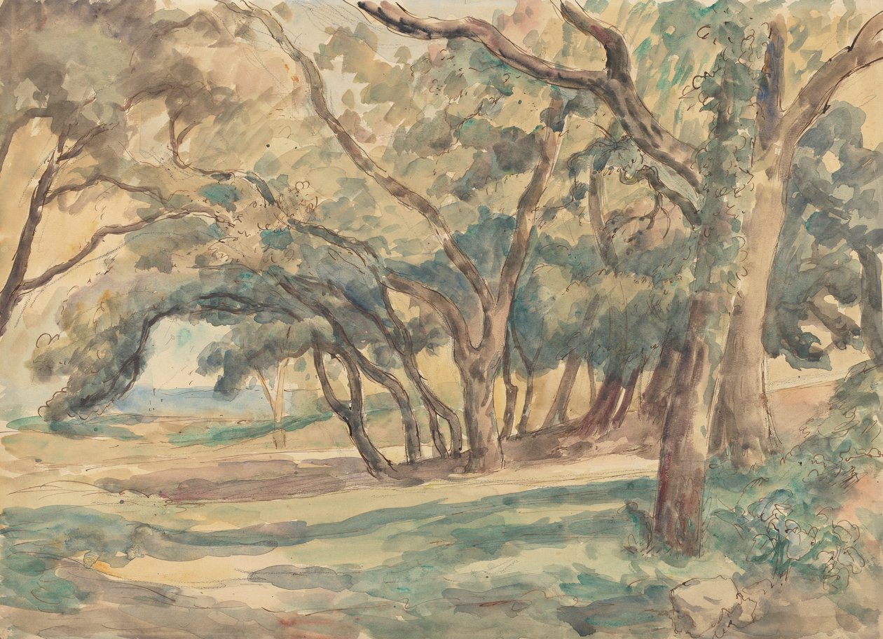 Skovklædte Glade nær St. Tropez af Roger Fry
