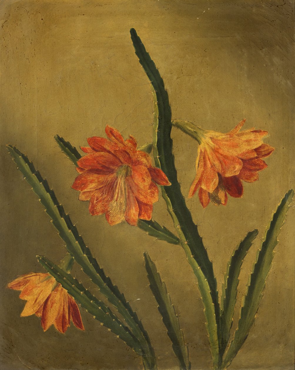 Studie af blomster (olie på lærred) af Rolinda Sharples