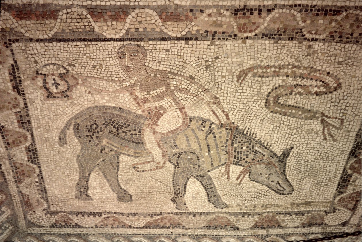 Atlet modtager et trofæ efter at have vundet Desultor-løbet, fra gulvet i et hus (mosaik) af Roman