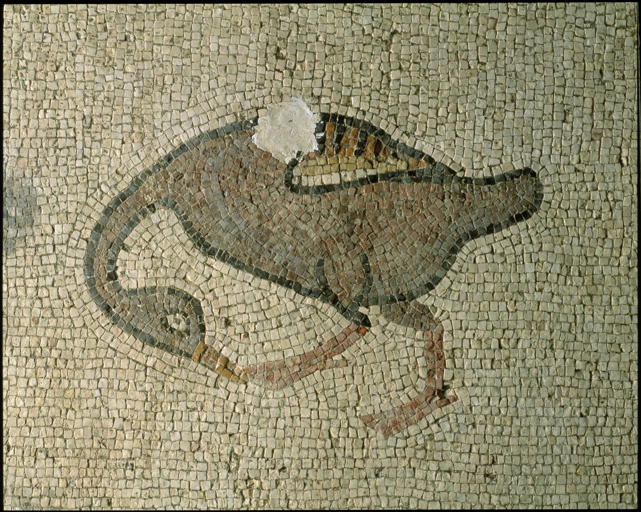 Gulv i en basilika (mosaik) af Roman