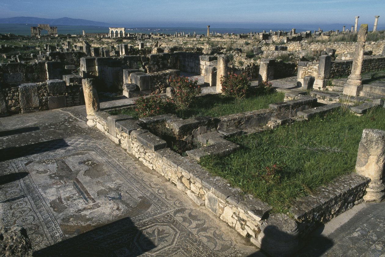 Generel visning af Roman