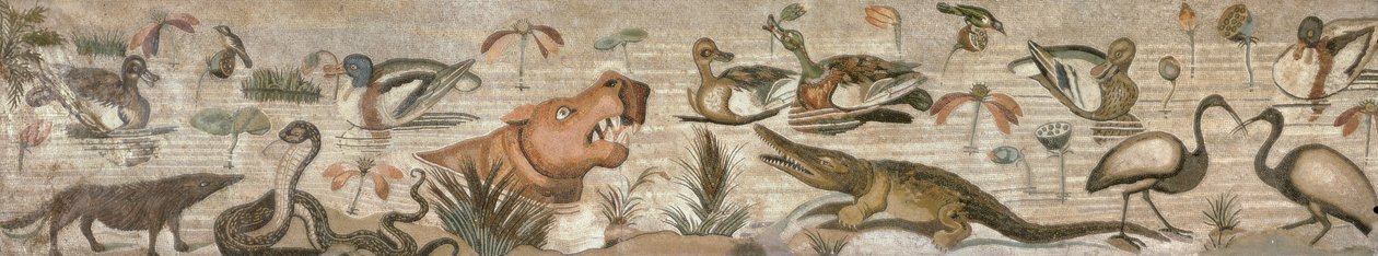 Nilscene, fra Casa del Fauno (Faunens Hus) Pompeji (mosaik) af Roman