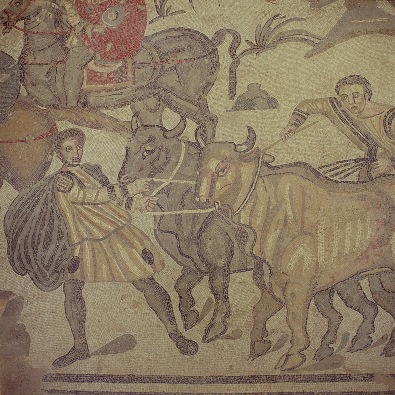 Okser, der transporterer vand, romersk mosaik, tidligt 4. århundrede (mosaik) af Roman