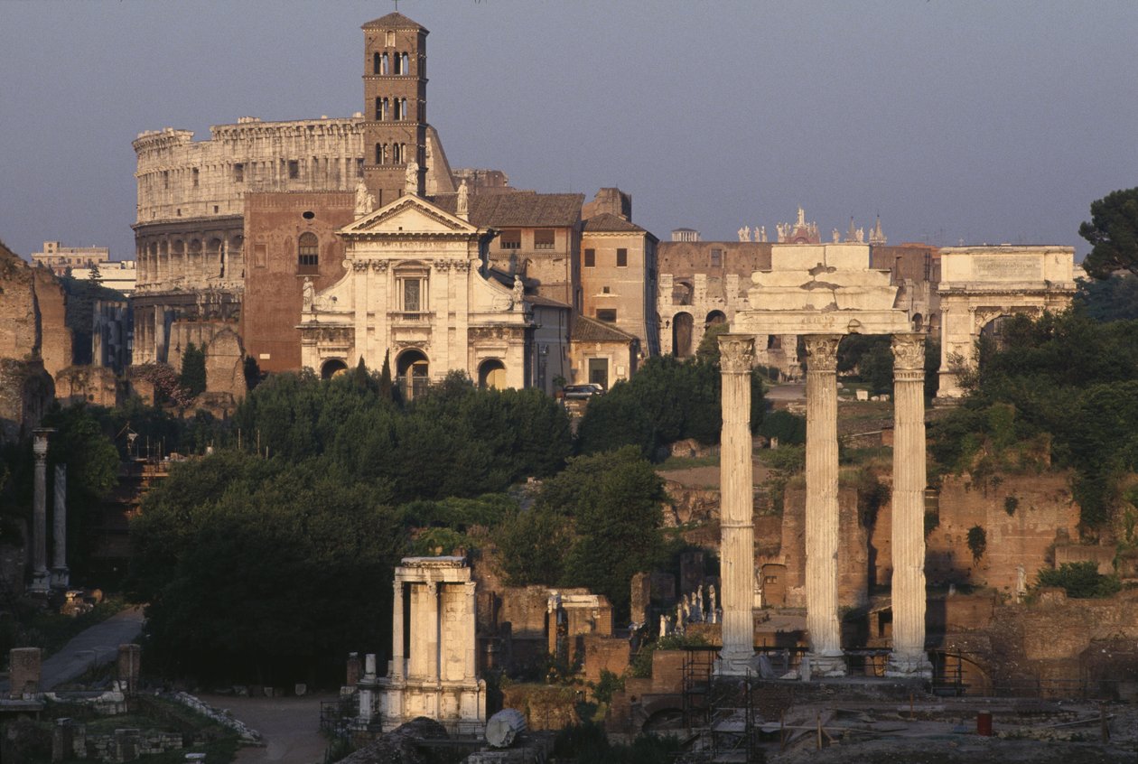 Udsigt over forummet af Roman