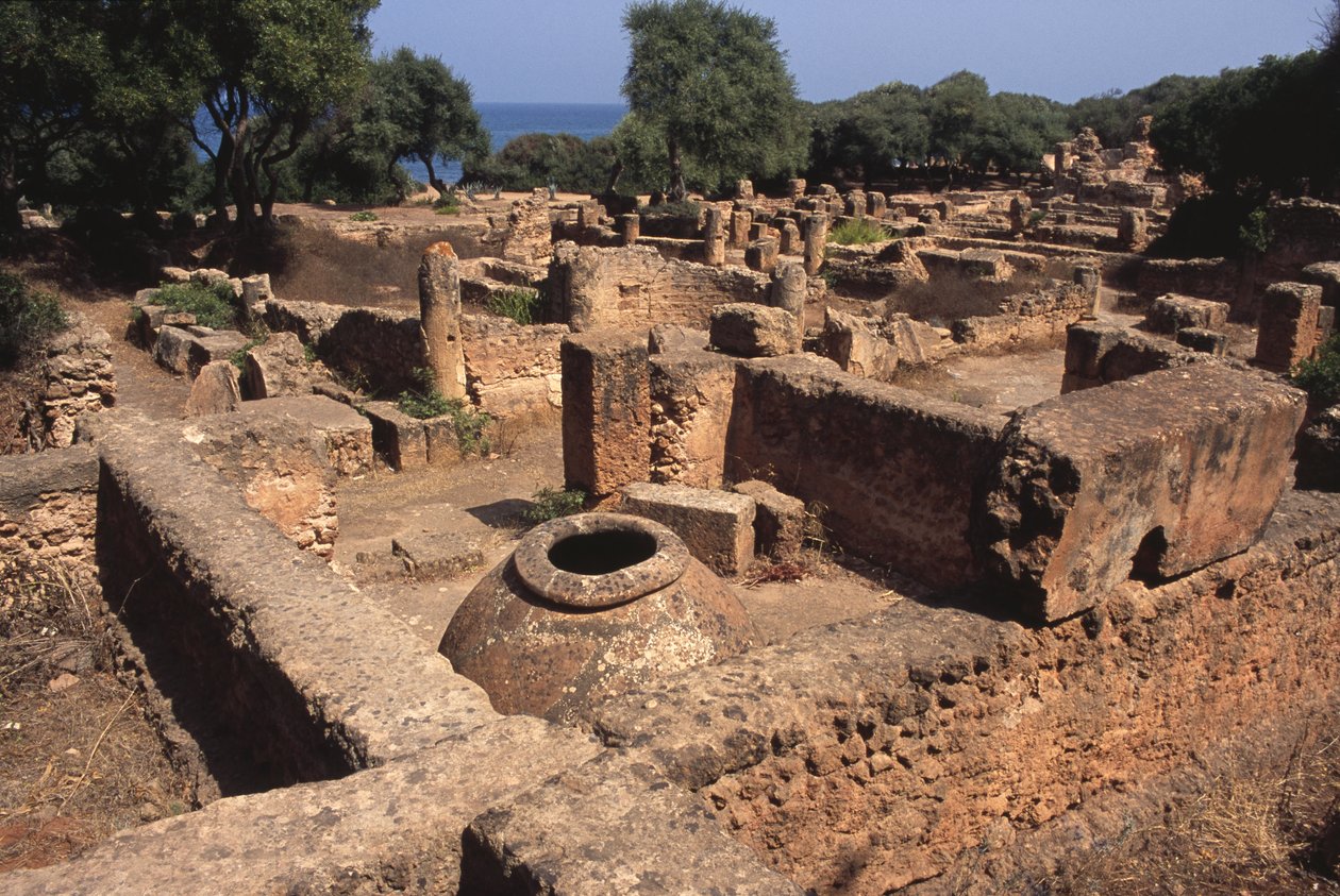 Udsigt over stedet af Roman