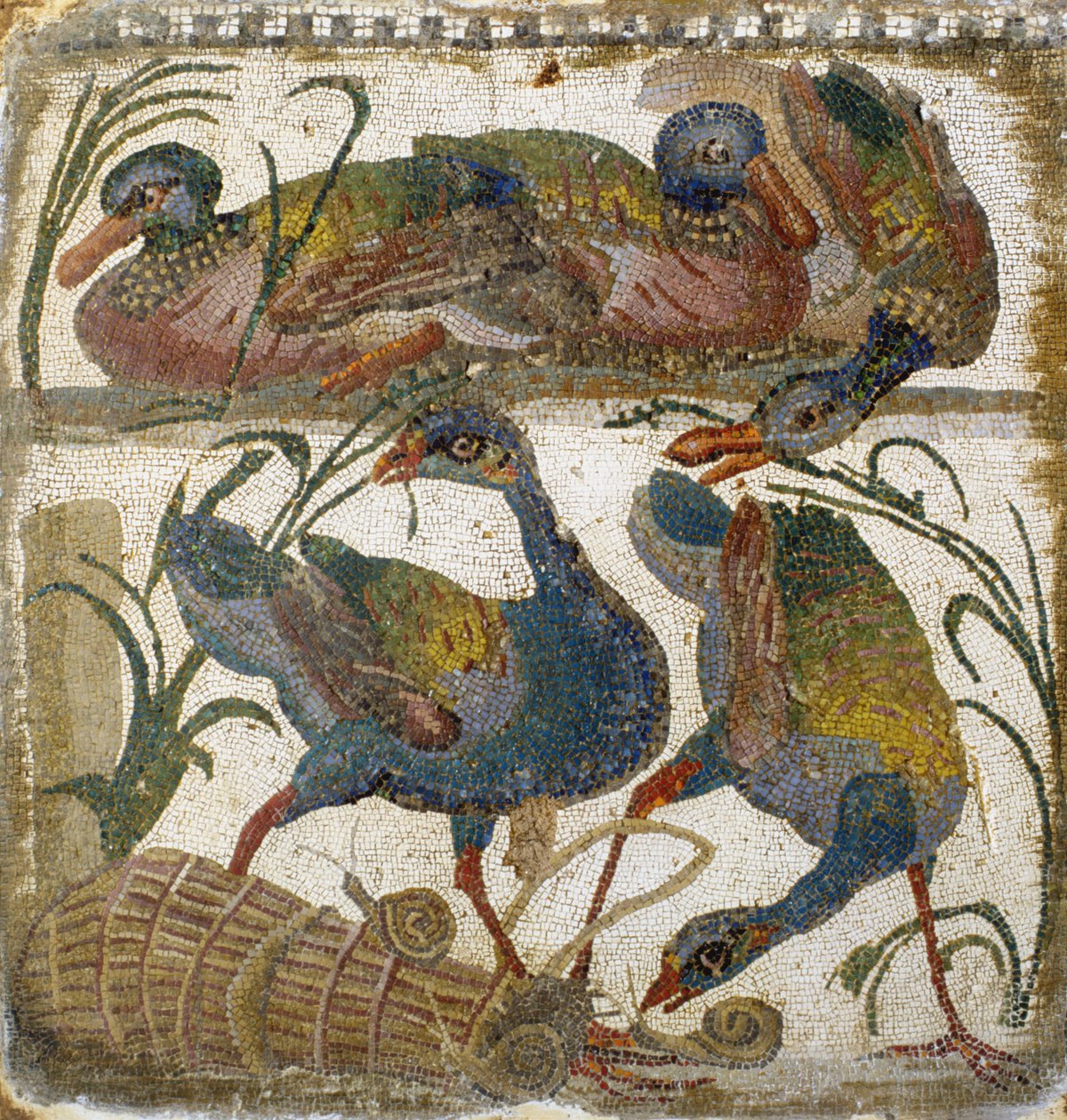 Vandfugle (mosaik) af Roman