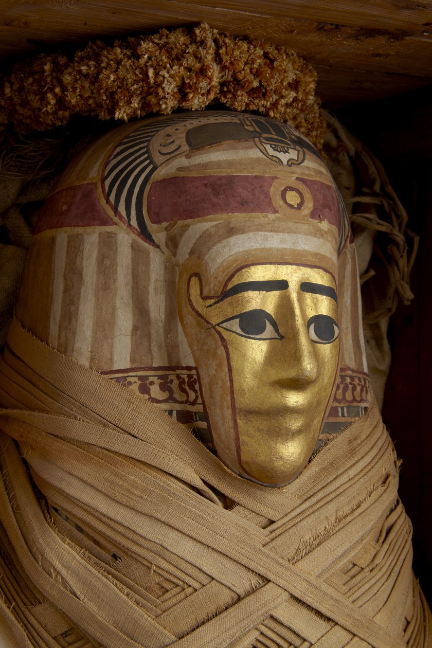 Ptolemæisk kiste, mumie med forgyldt maske og blomsterguirlander (cyprestræ) af Roman Period Egyptian