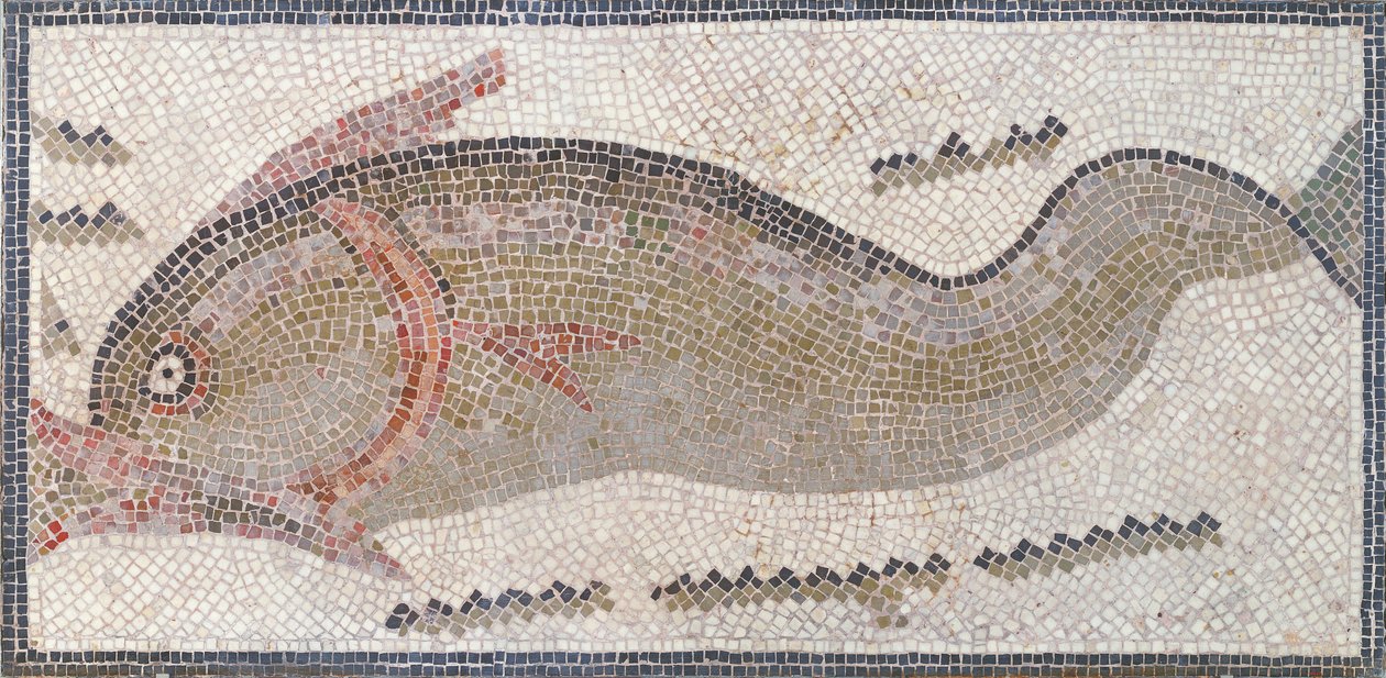 Delfin, fra Tunis, 3.-5. århundrede e.Kr. (mosaik) af Roman Roman