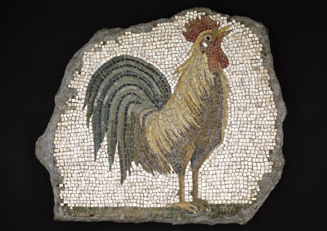 Hane (mosaik) af Roman