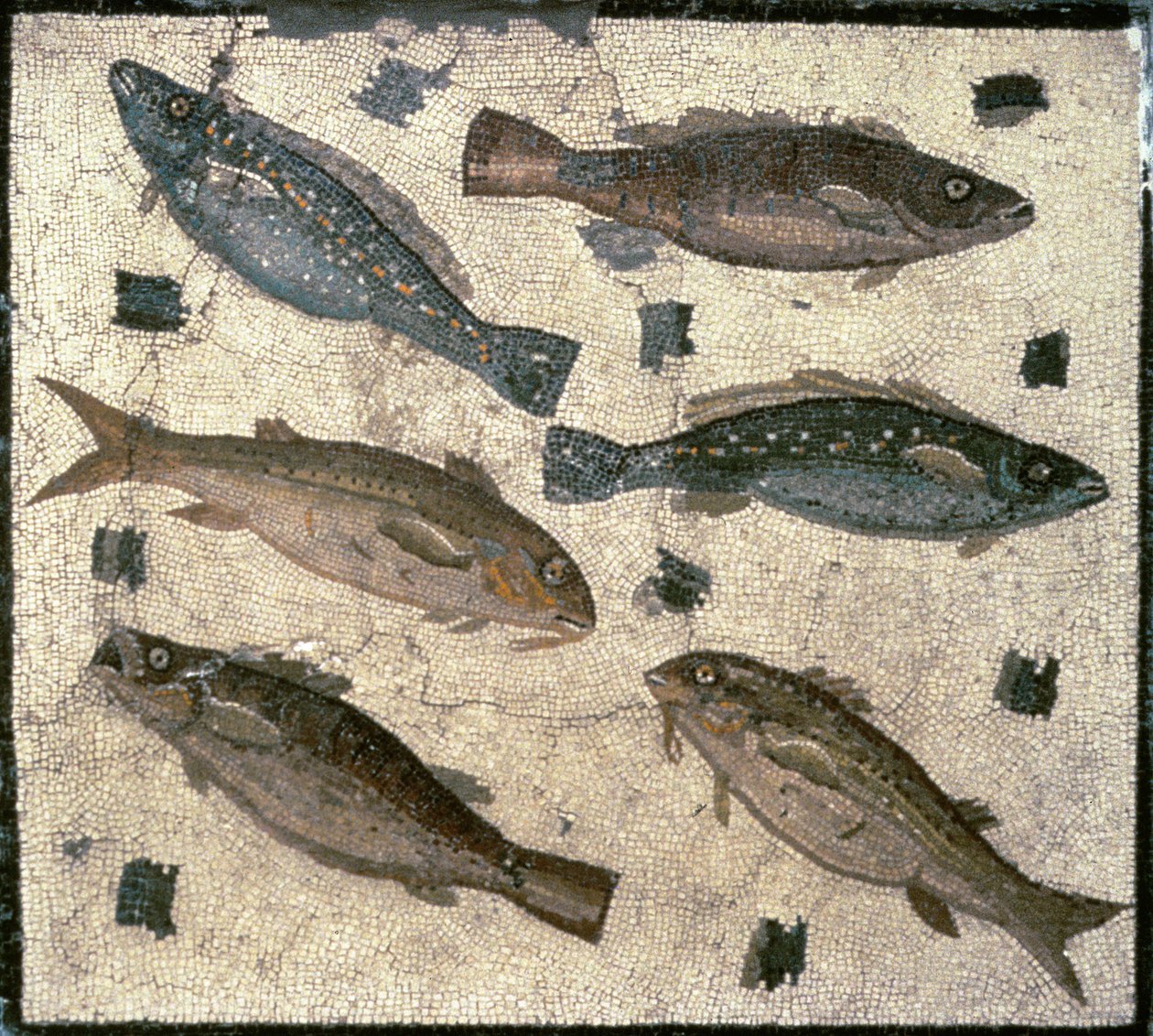 Fisk (mosaik) af Roman