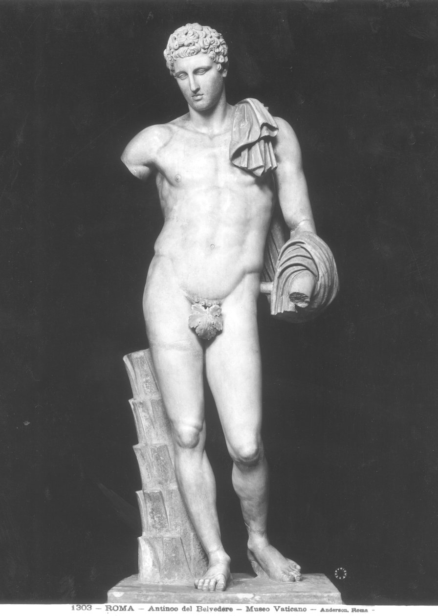 Hermes, kaldet Antinous del Belvedere (marmor) (s/h foto) af Roman