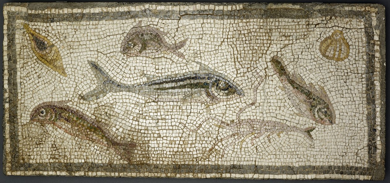 Mosaikpanel, der viser fisk, sandsynligvis 3. århundrede e.Kr. af Roman