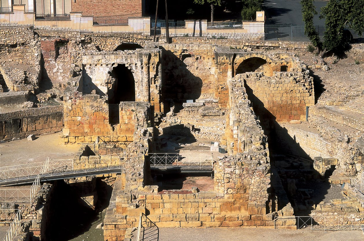 Romersk amfiteater, Tarragona, Catalonien, Spanien af Roman