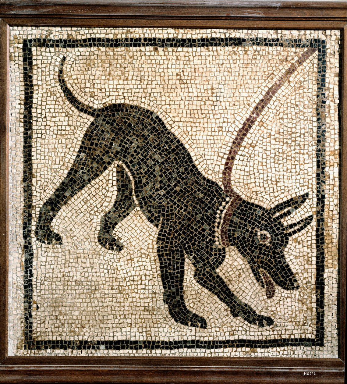 Roman art: “” canem cave ”” dani af Roman