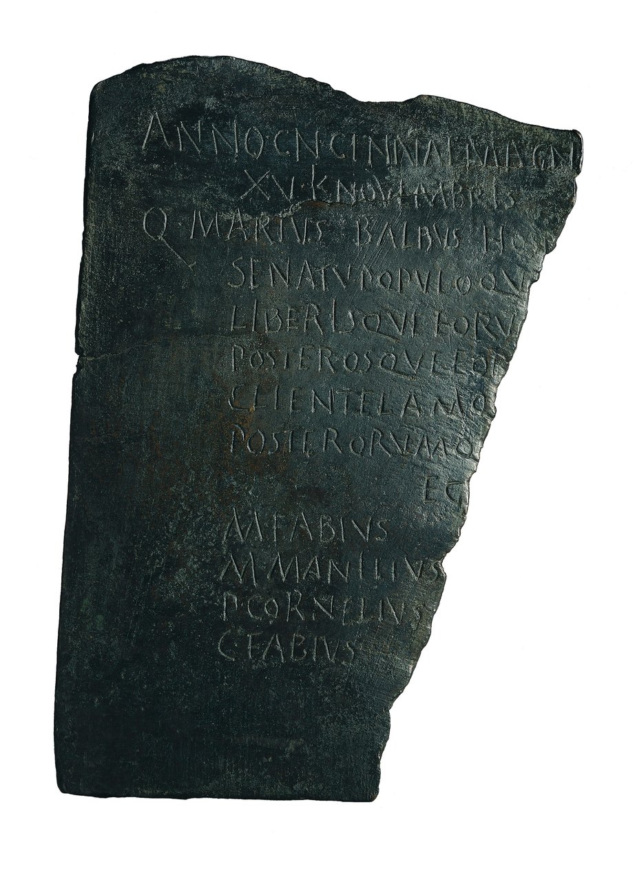 Sygehusbestyrelsen af Roman