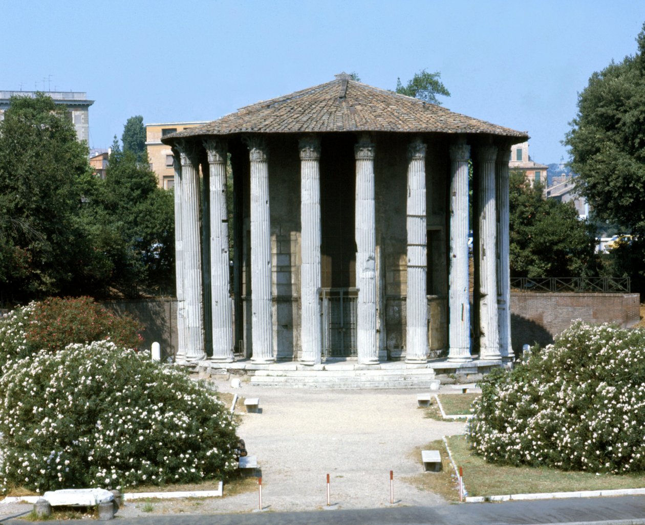 Vestas tempel i Rom. af Roman