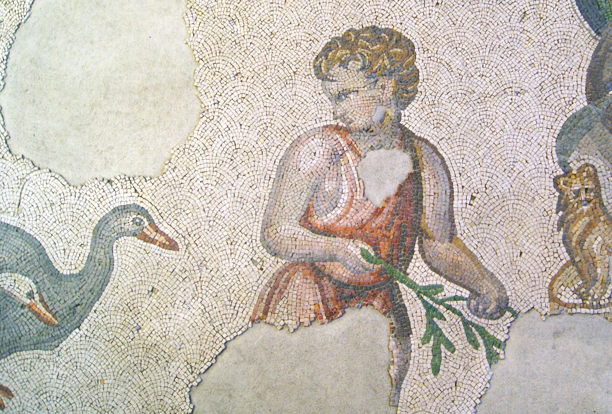 Ukendt billede af Roman