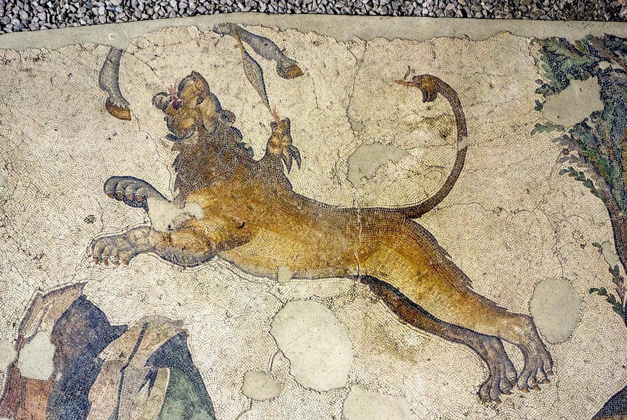 Ukendt billede af Roman