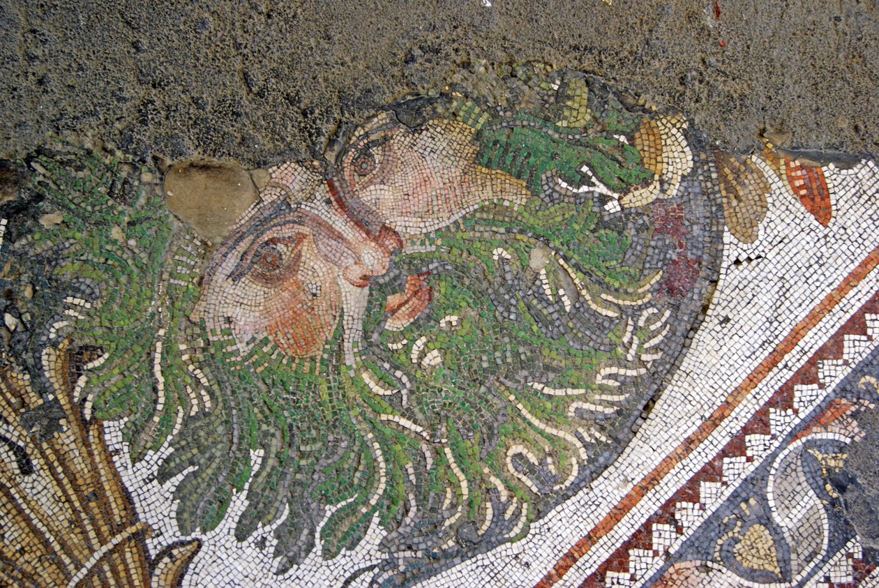 Ukendt billede af Roman