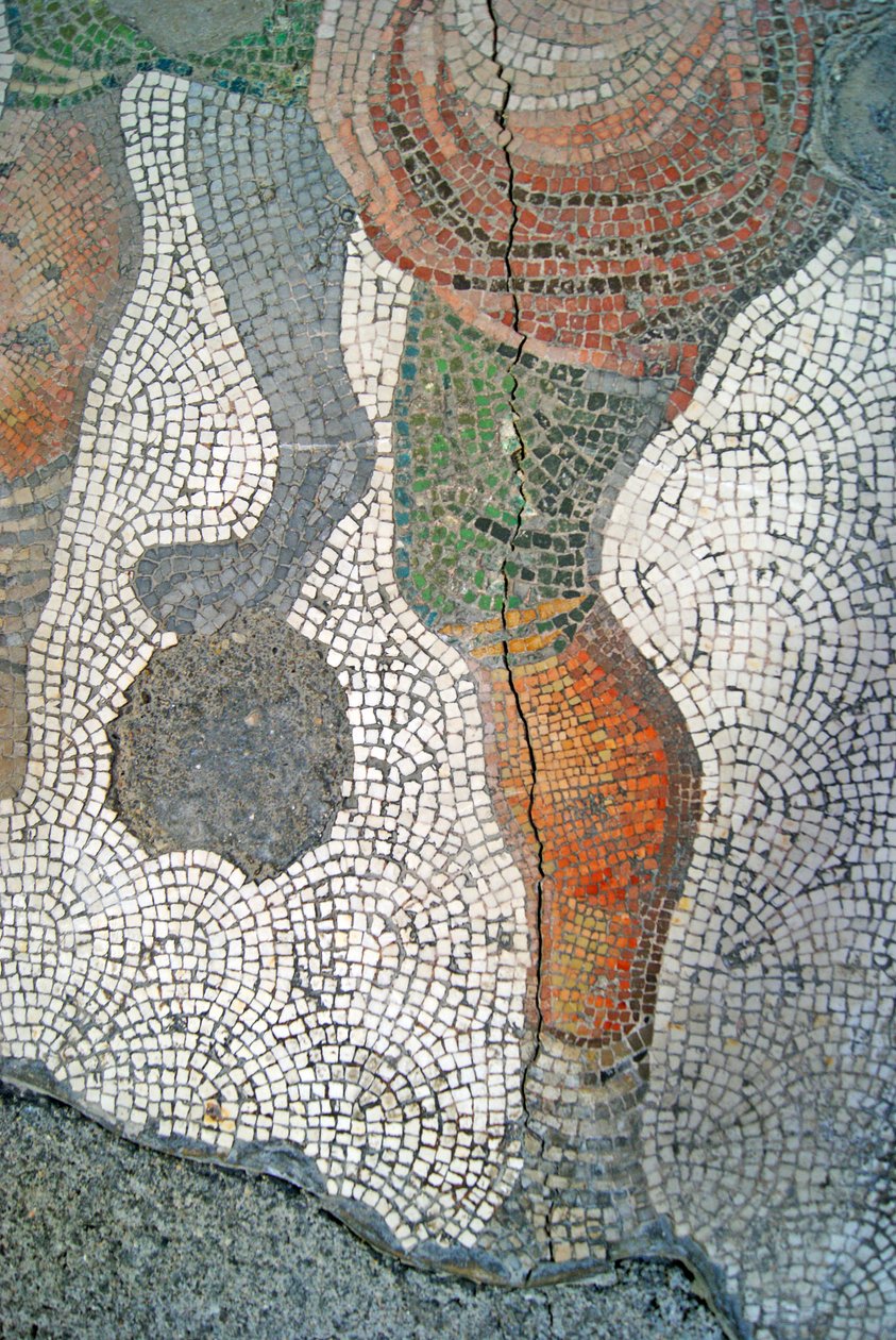 Ukendt billede af Roman