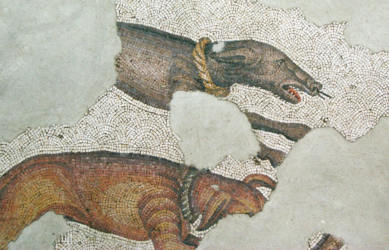 Ukendt billede af Roman