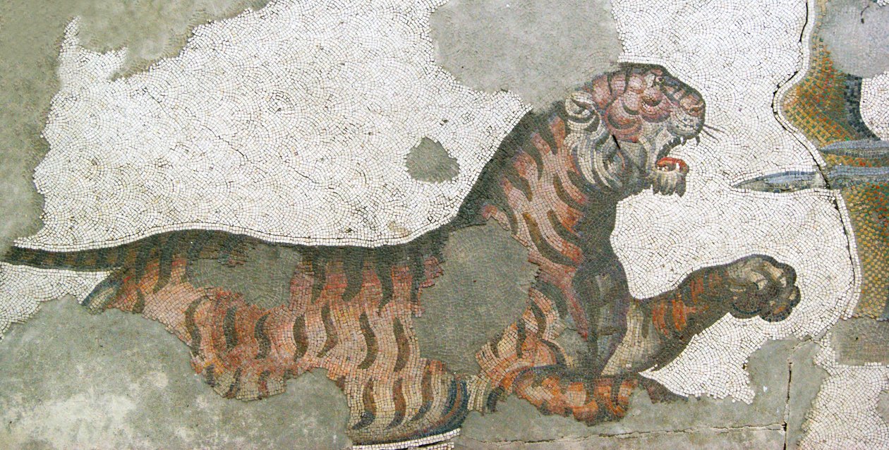 Ukendt billede af Roman