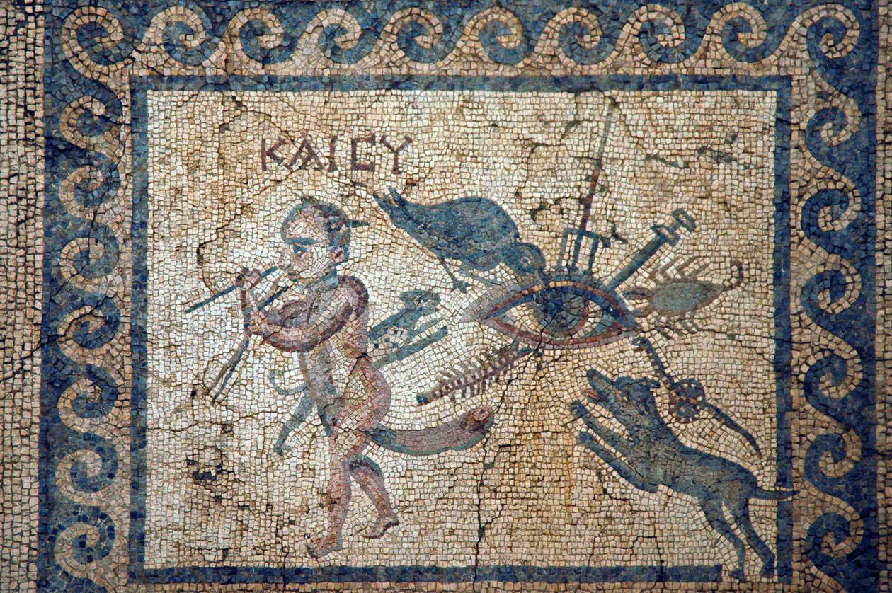 Ukendt billede af Roman