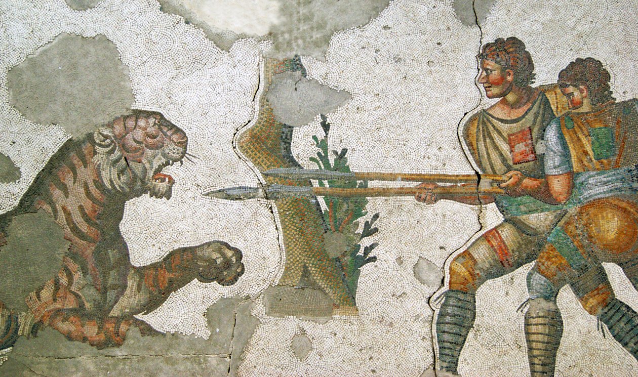 Ukendt billede af Roman
