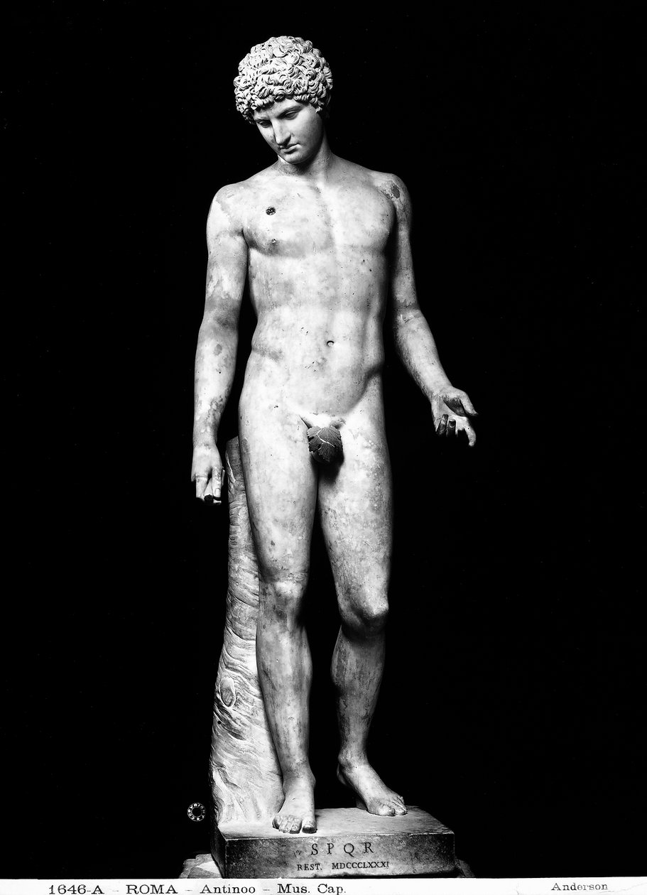 Antinøs (marmor) af Roman Roman