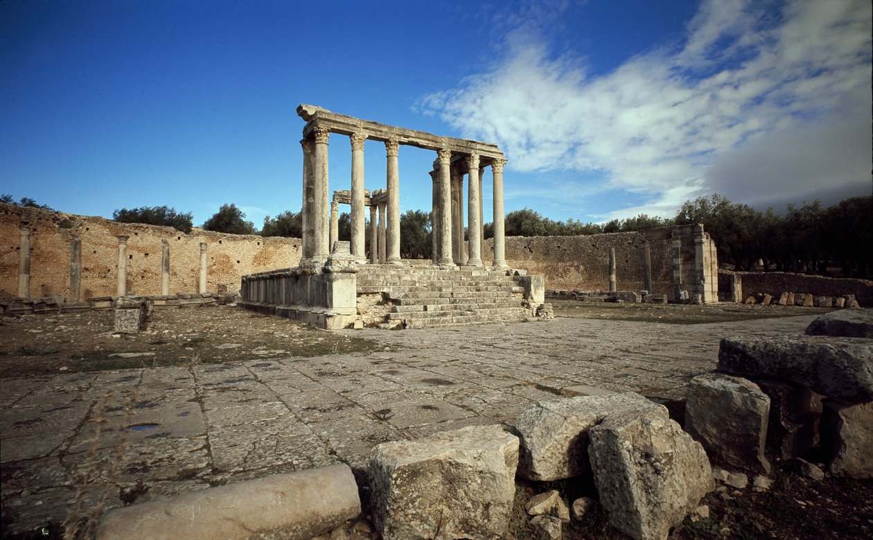 Temple of Celestial Juno af Roman Roman