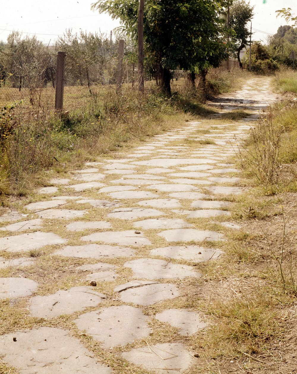 Via Flaminia, Rom. af Roman Roman