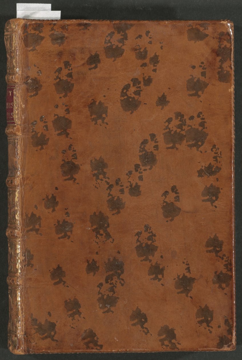 De Hundrede Nyheder af Romeyn de Hooghe, Anoine
