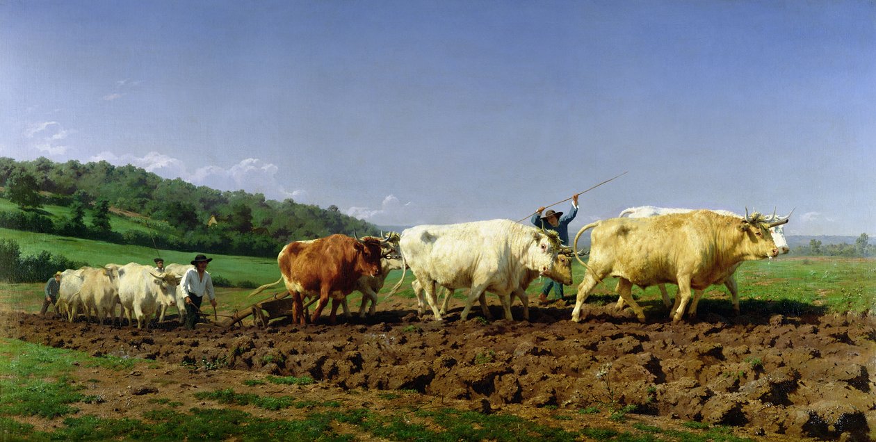 Pløjning i Nivernais, 1849 af Rosa Bonheur