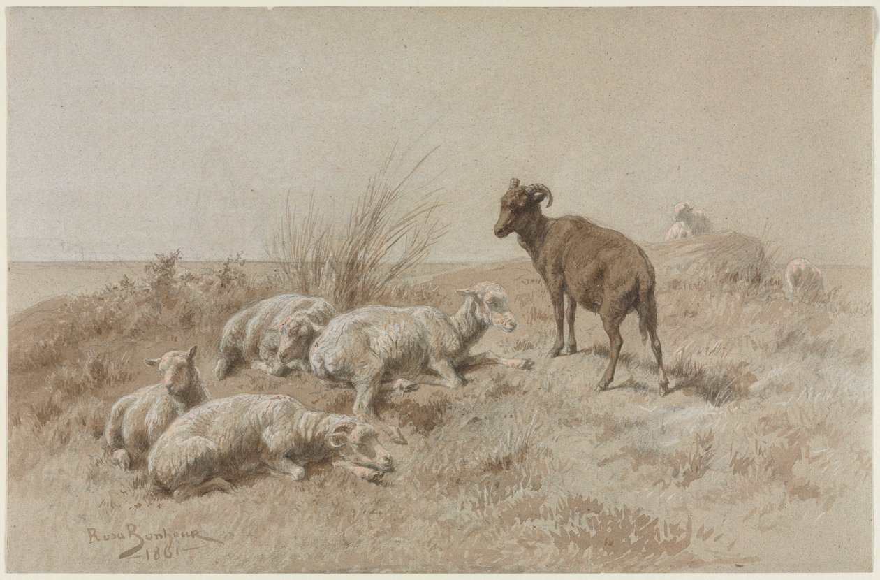 Får af Rosa Bonheur