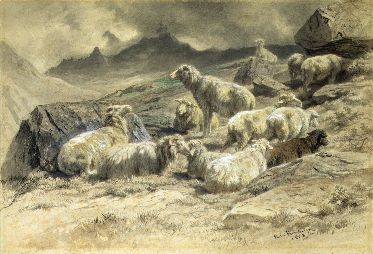 Får af Rosa Bonheur