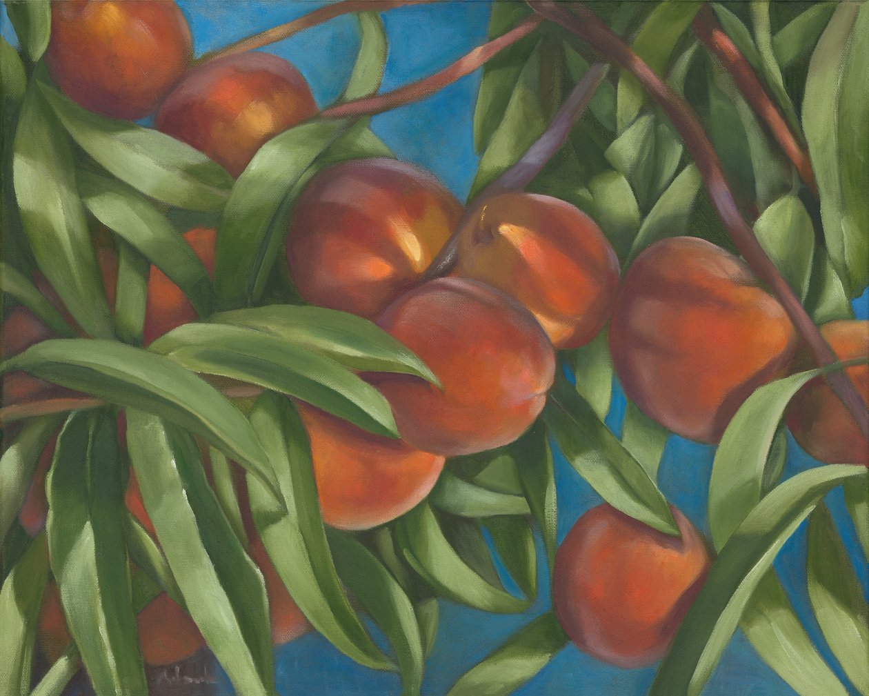 Peach Tree, 2014 (olie på lærred) af Rosemarie Adcock