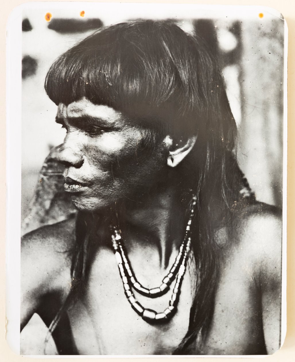 Ifugao fra landsbyen Pindungan, 1919 (s/h-billede) af Roy Barton