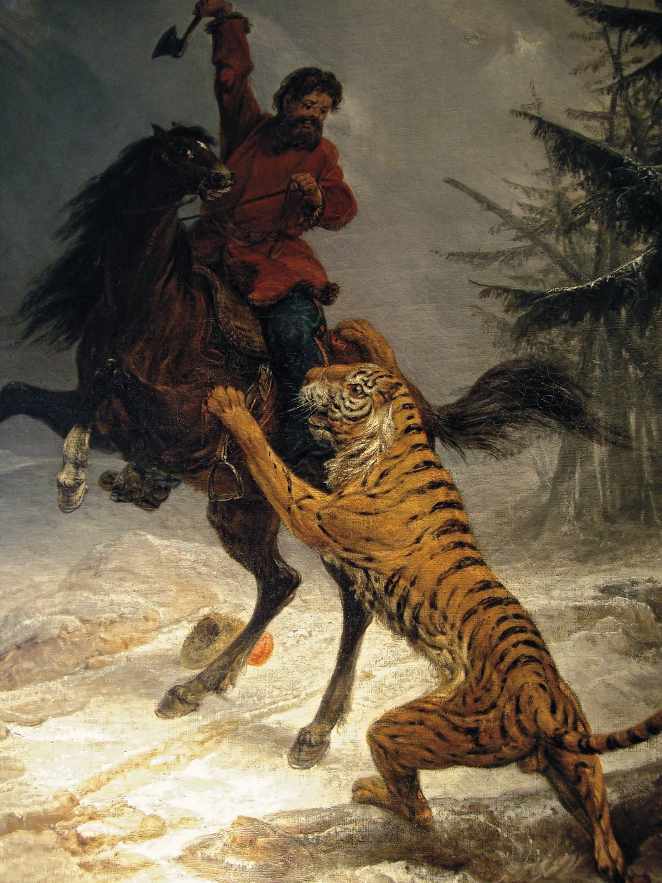 Sibirisk tiger angriber en kosak af Russian School