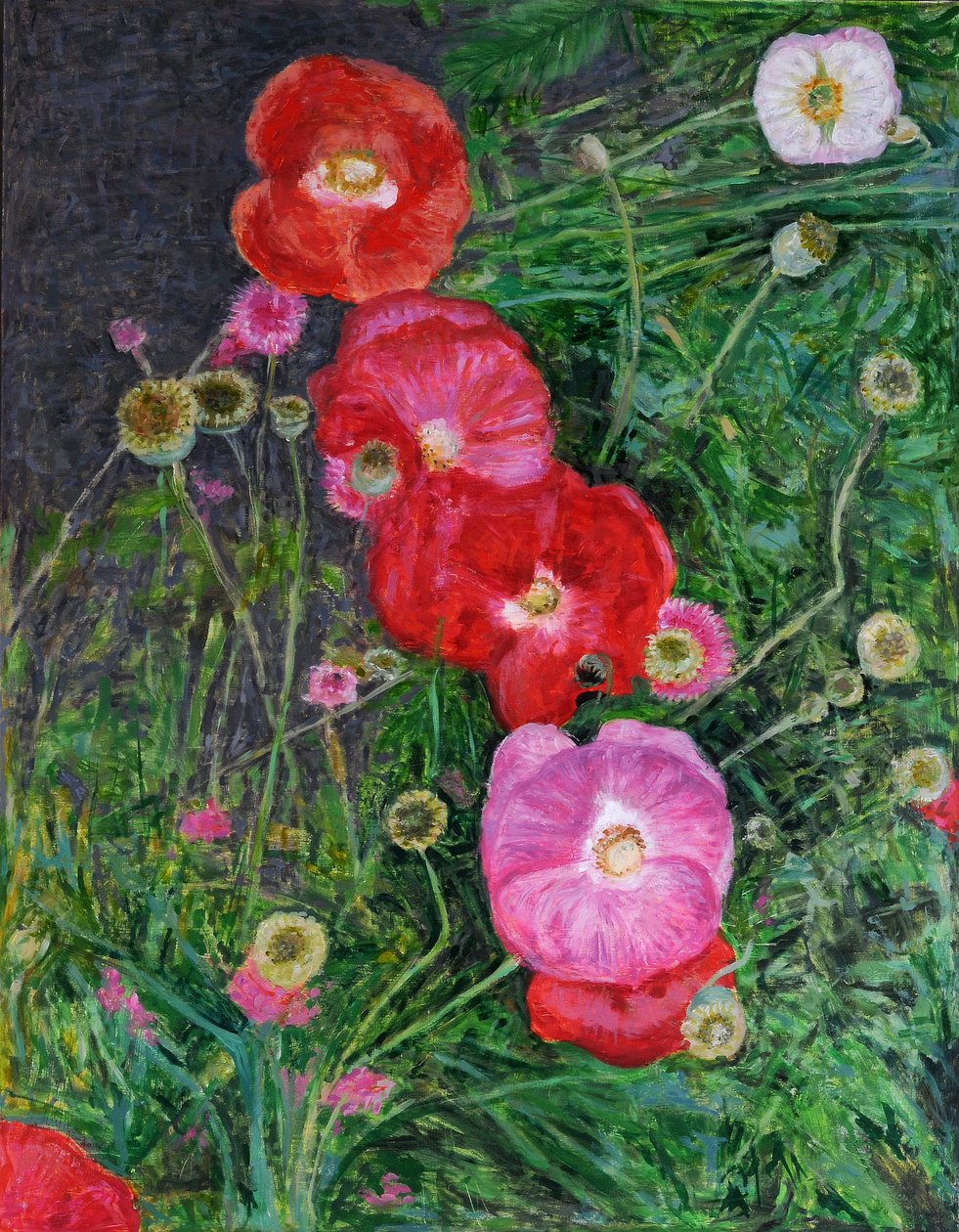 Valmuer, 2009 (olie på træ) af Ruth Addinall