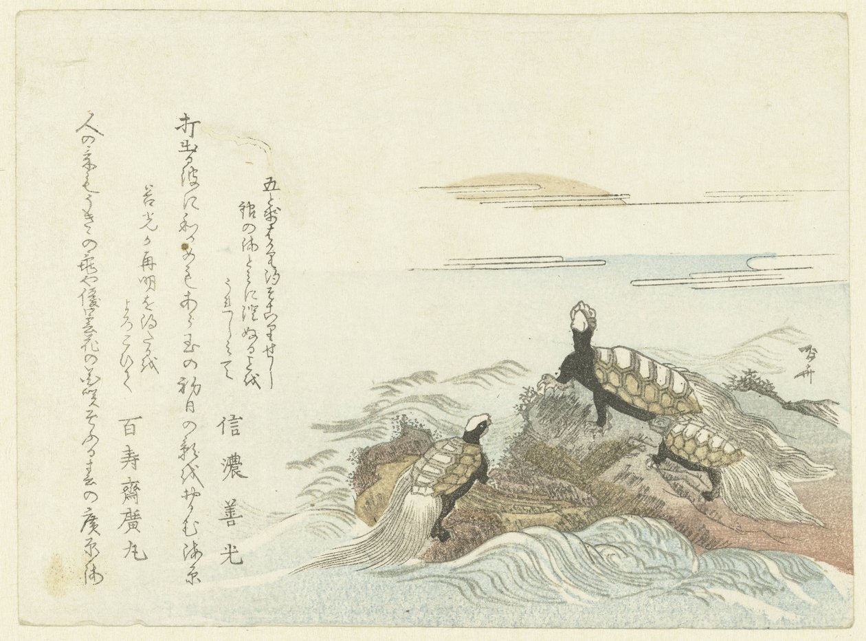 Skildpadder på en klippe af Ryuryukyo Shinsai