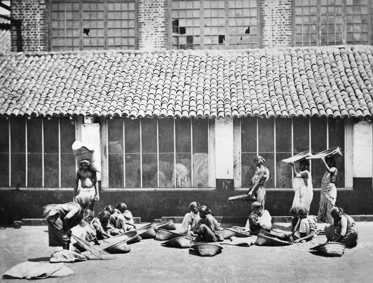 Rengøring og sortering af kaffe, Colombo, 1870 af S. and Shepherd, C. Bourne